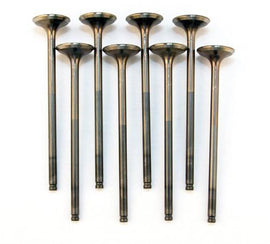 BLOX Racing High Compression Exhaust Valve Set for D-series SOHC VTEC (D16Z-Y) - BXPT-20251