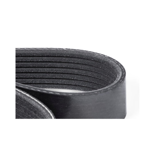 APR 12-18 Audi A7 Quattro 3.0 TFSI Supercharger Belt (1270mm Length) - RS100001