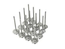 Load image into Gallery viewer, Skunk2 Ultra Series Honda/Acura Stock Size K Series VTEC Valve Set (STD Compression) - 310-05-9535