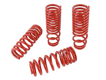 Load image into Gallery viewer, Skunk2 90-93 Acura Integra Lowering Springs (2.50in - 2.25in.) (Set of 4) - 519-05-1640