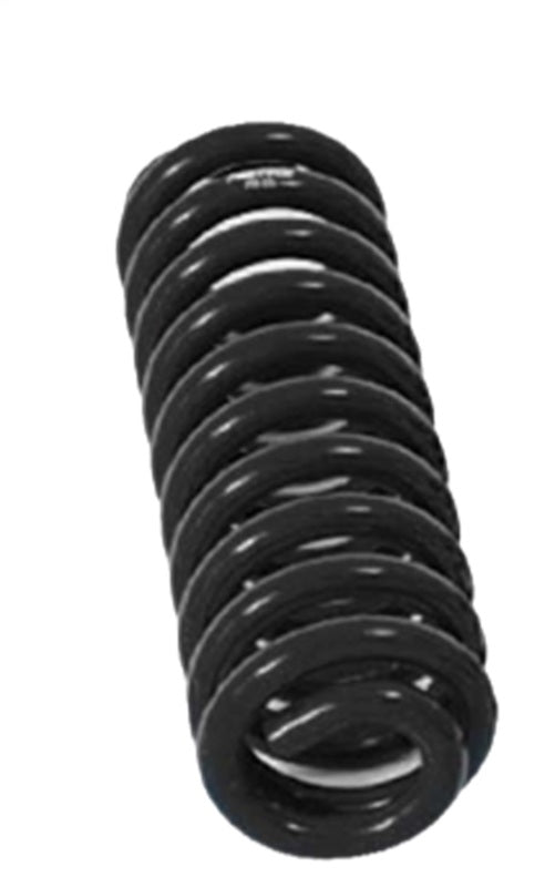 Fabtech 99-00 Ford F250/350 2WD 7.3L Diesel 6in Coil Spring Kit - FTS137