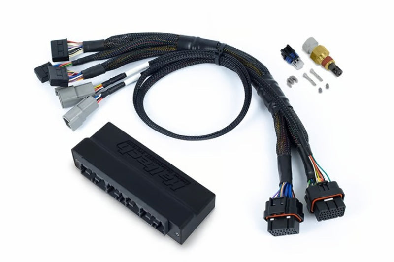 Haltech NEXUS S3 Plug-n-Play Adapter Harness - HT-186367