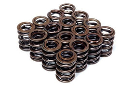 BLOX Racing Dual Valve Springs for DOHC VTEC - BXPT-10300