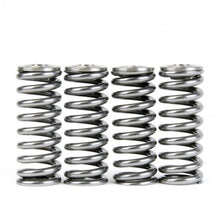 Load image into Gallery viewer, Skunk2 Alpha Series Honda/Acura D Series Valve Spring and Titanium Retainer Kit - 344-05-1350