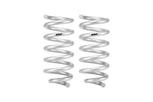 Load image into Gallery viewer, Eibach 18-24 Ford Expedition Stage 1 Rear Spring System - e30-35-050-01-02