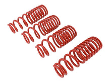 Load image into Gallery viewer, Skunk2 96-00 Honda Civic Lowering Springs (2.50in - 2.25in.) (Set of 4) - 519-05-1550