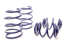 Load image into Gallery viewer, H&amp;R 95-98 BMW 318ti E36 Compact Race Spring - 29593