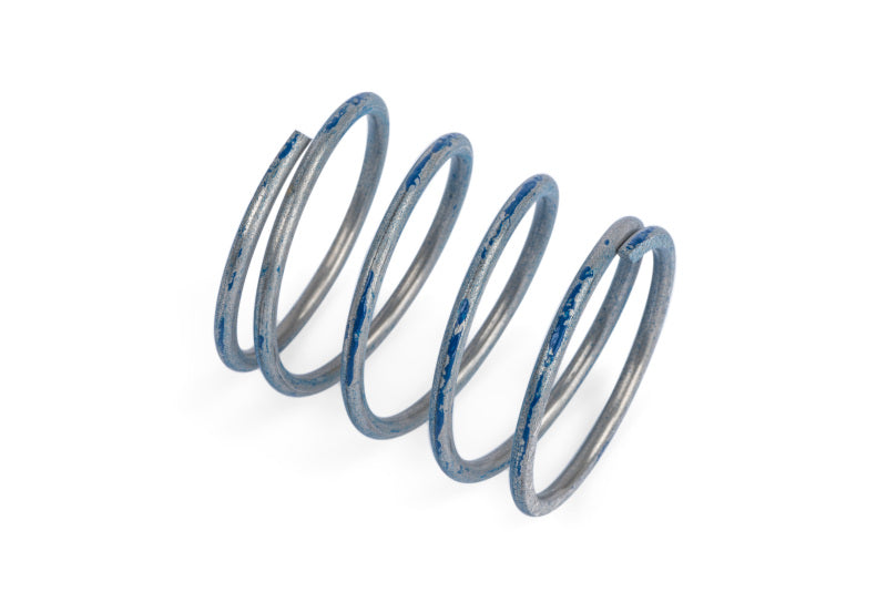 APR 76-83 Porsche 911 R1 DV Higher Pressure Spring - Blue - Z1001791