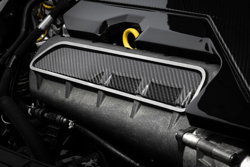 APR 17-26 Audi RS3/12-22 Audi TT RS Quattro 2.5T Carbon Fiber Intake Manifold Cover Plate - MS100251