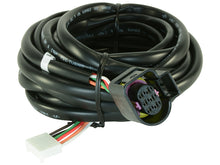Load image into Gallery viewer, AEM Replacement Sensor Harness for Digital Wideband Gauge (30-4110) - 30-3441