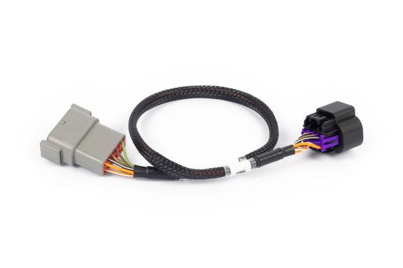 Haltech NEXUS Rebel LS 8-Pin DBW Adaptor - HT-186506