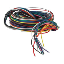 Load image into Gallery viewer, AEM Wiring Harness for V2 Controller w/ Multi Input - 30-3324