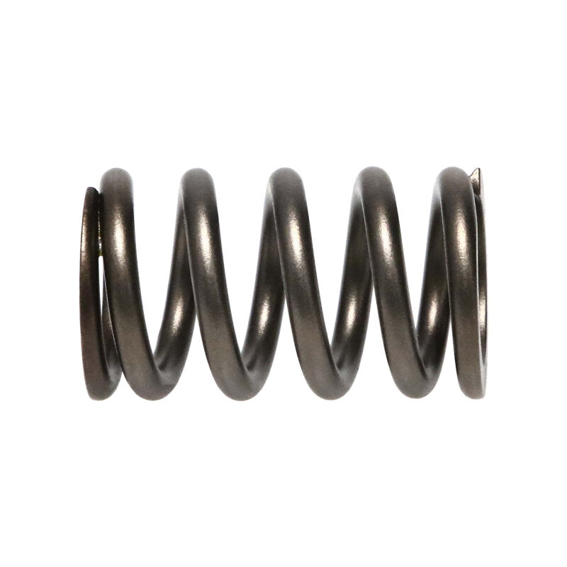 Manley Dodge SRT-4 16pc Valve Springs - 22190-16