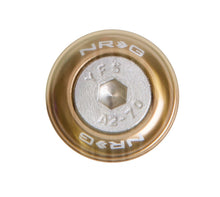 Load image into Gallery viewer, NRG Fender Washer Kit w/Rivets For Metal (Titanium) - Set of 10 - FW-110TI