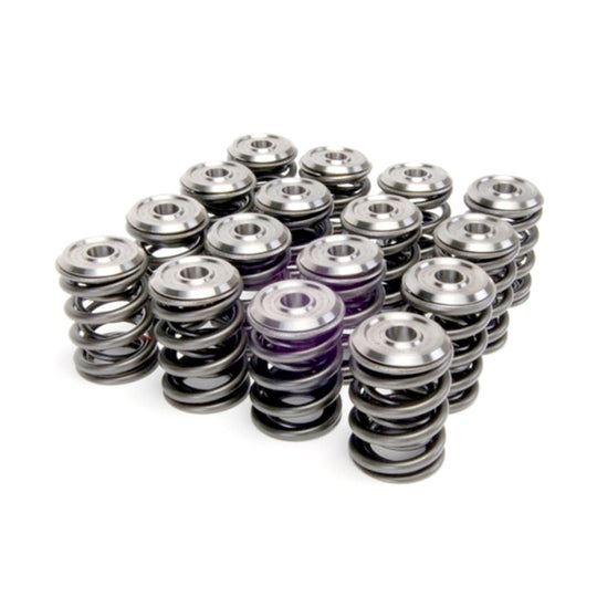 Skunk2 Alpha Series Honda/Acura B Series Valve Spring and Titanium Retainer Kit - 344-05-1300