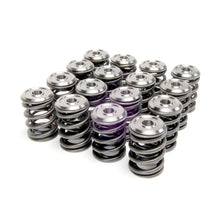 Load image into Gallery viewer, Skunk2 Alpha Series Honda/Acura K Series Valve Spring and Titanium Retainer Kit - 344-05-1410