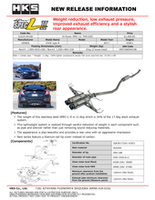 Load image into Gallery viewer, HKS Hi-Power Muffler SPEC-L2 FK8 K20C - 31019-AH106