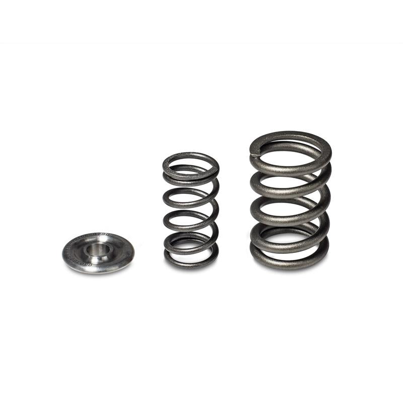 Skunk2 Alpha Series Honda/Acura H Series Valve Spring and Titanium Retainer Kit - 344-05-1360