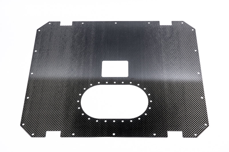 Radium Engineering Carbon Fiber Fuel Cell Lid - 22 Gal - 13-0422-01