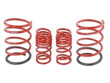 Load image into Gallery viewer, Skunk2 01-05 Honda Civic Lowering Springs (2.25in - 2.00in.) (Set of 4) - 519-05-1570