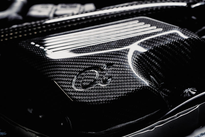 AMS Performance 15-18 BMW M3 / 15-20 BMW M4 w/ S55 3.0L Turbo Engine Carbon Fiber Intake - AMS.39.08.0001-1