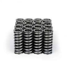 Load image into Gallery viewer, Skunk2 Alpha Series Honda D Series VTEC Valve Spring Set - 311-05-1345