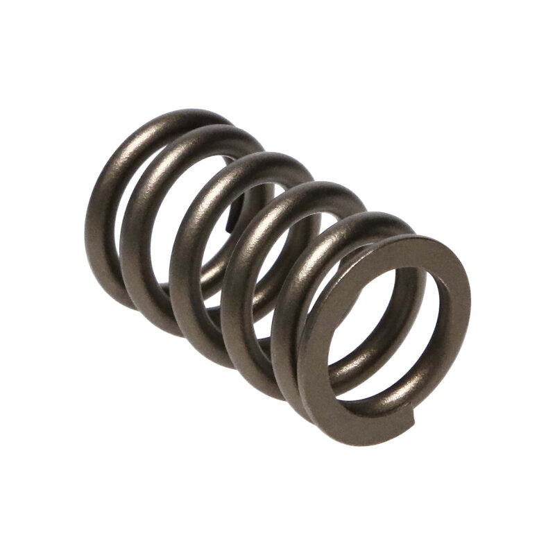 Manley 90-06 Mitsubishi (4G63-4G63T) 16pc Valve Springs (1.100/.775) - 22125-16