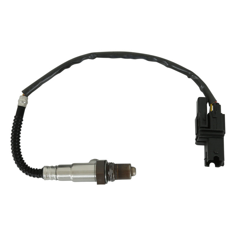 AEM Universal EMS Wideband 02 Kit Sensor/ Bung/ Connector/ Wire-Seals/ Pins - 30-2002