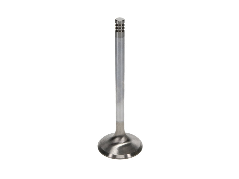 Manley Chrysler Hemi 6.1L w/ Triple Groove 1.625in Race Master Exhaust Valves (Set of 8) - 11671-8