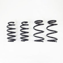 Load image into Gallery viewer, RS-R 19+ Tesla Model 3 AWD Down Sus Springs - TL002TD