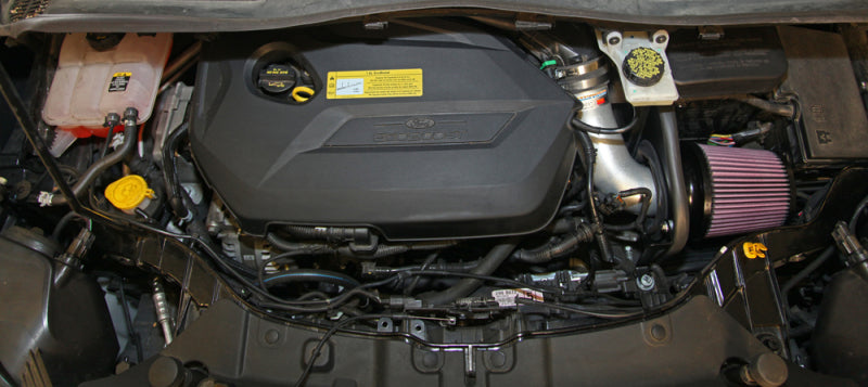 K&N 13-15 Ford Escape 2.0L/1.6L L4 Typhoon Cold Air Intake - 69-3537TS