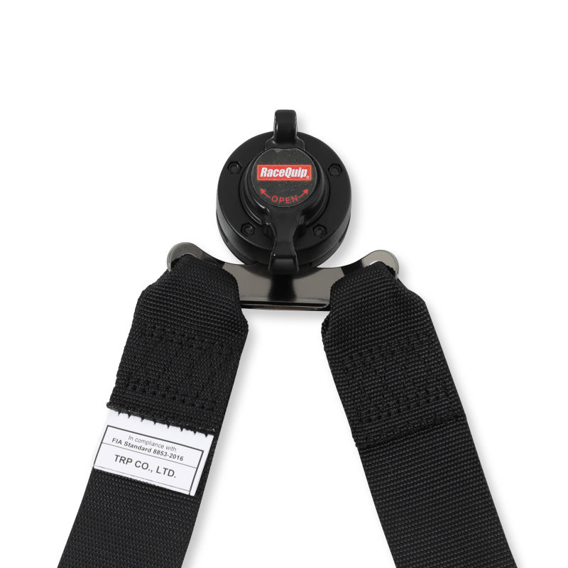 RaceQuip Black FIA CAMLOCK 6pt 2in Pull Down Lap FHR - 855005RQP