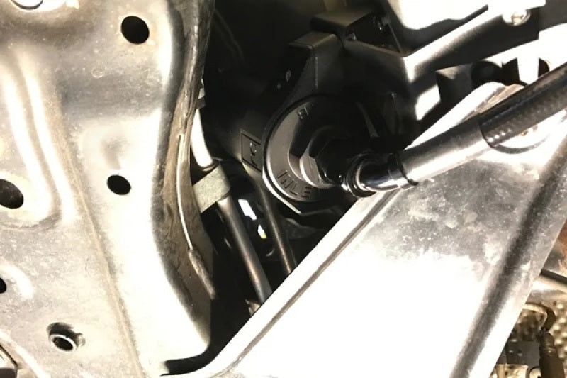 Radium Engineering Fuel Filter Mount and Filter Clamp EVO X - 20-0310