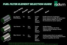 Load image into Gallery viewer, Radium Engineering Fuel Filter Kit w/ 100 Micron Stainless Filter - 20-0220-04
