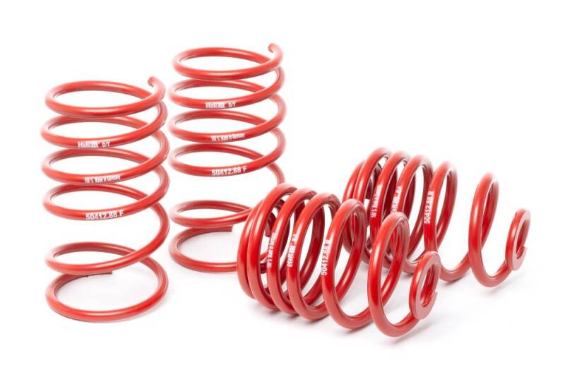 H&R 96-99 BMW M3 3.2L E36 Race Spring (Non Cabrio) - 50412-88