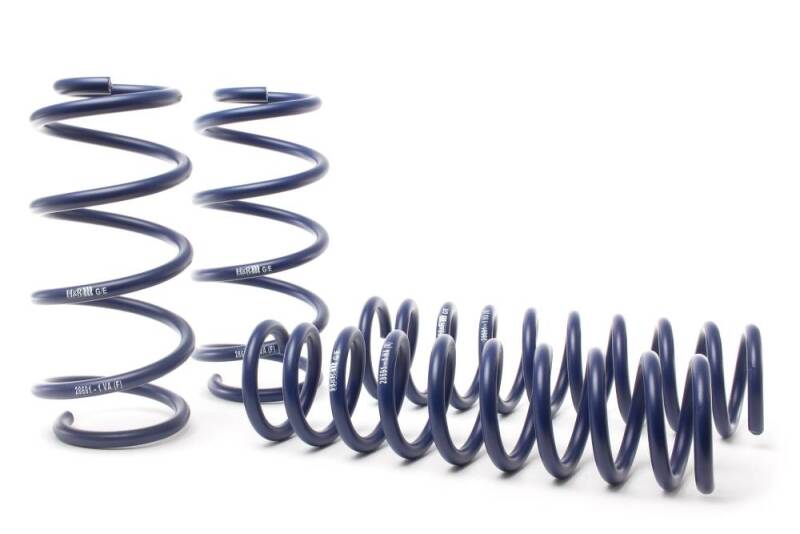 H&R 14-19 Ford Escape (2WD/4WD) 4 Cyl/V6 Adventure Raising Spring - 28691-1