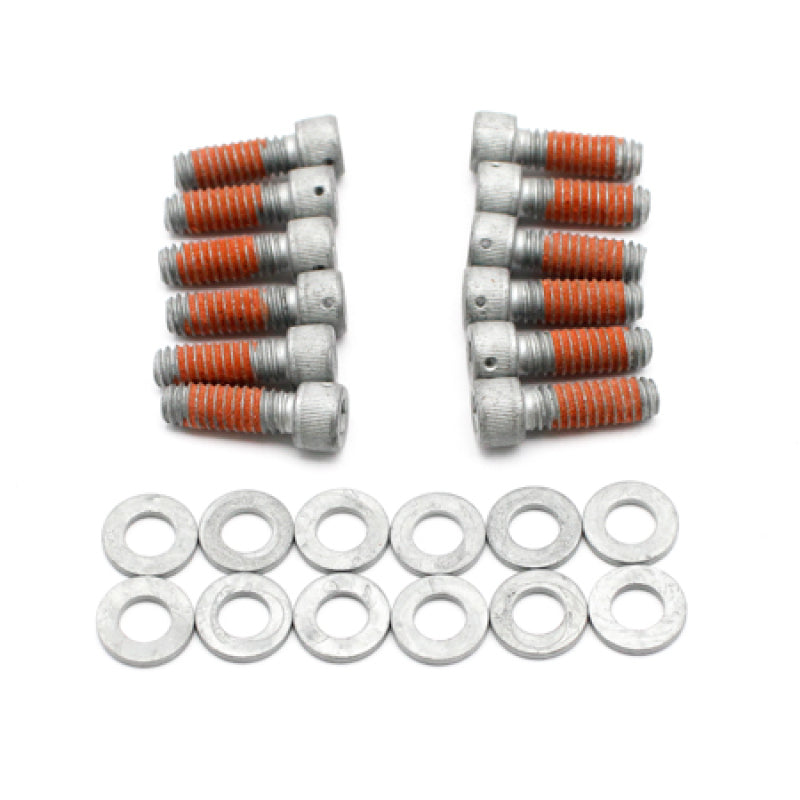 Wilwood DRILLED Rotor Bolt Kit 1/4-20x.75 LG - 230-15698