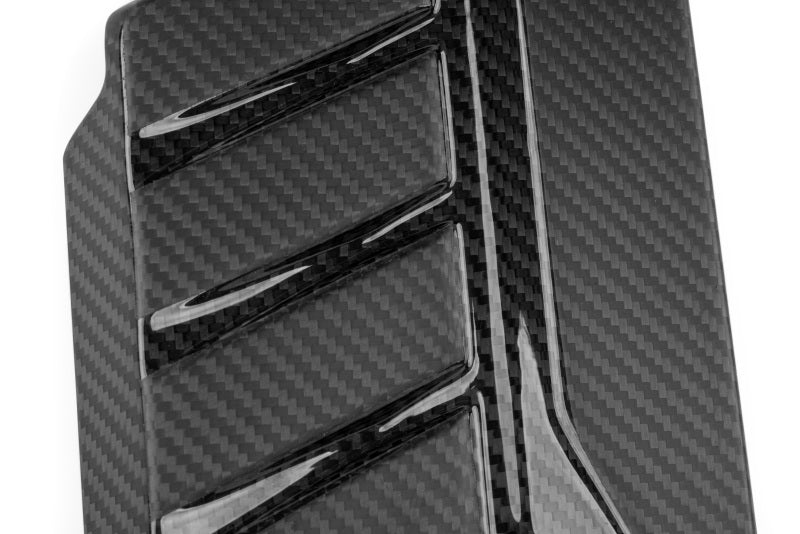 APR 21-26 Audi RS6 Avant/RS7 Sportback EA825 (C8) 4.0T Carbon Fiber Engine Cover - MS100253