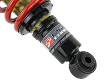 Load image into Gallery viewer, Skunk2 01-05 Honda Civic / 01-05 Acura Integra Pro-ST Coilovers (Front 10 kg/mm - Rear 10 kg/mm) - 541-05-8700