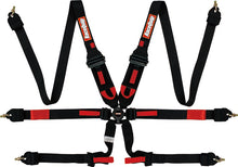 Load image into Gallery viewer, RaceQuip Black FIA CAMLOCK 6pt 2in Pull Down Lap FHR - 855005