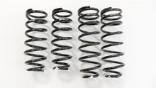 Load image into Gallery viewer, RS-R 01-06 Lexus LS430 (UCF30/31) Super Down Springs - T284S