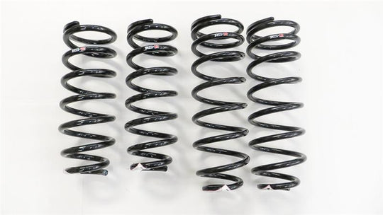 RS-R 01-06 Lexus LS430 (UCF30/31) Super Down Springs - T284S