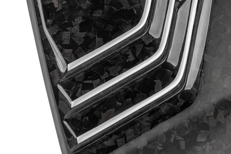 APR 20-24 Audi Q7/Q8/RS Q8/SQ7/SQ8 (4M) 2.9T/3.0T/4.0T Forged Carbon Fiber Engine Cover - MS100257