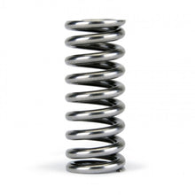 Load image into Gallery viewer, Skunk2 Alpha Series Honda D Series VTEC Valve Spring Set - 311-05-1345