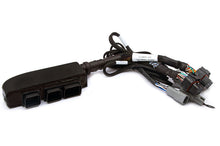 Load image into Gallery viewer, Haltech Elite 1500 Plug-n-Play Adaptor Harness