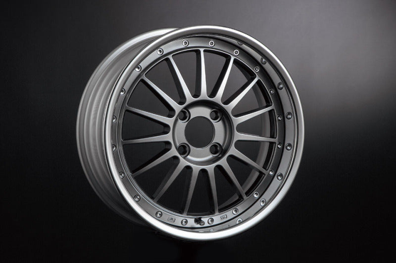 SSR Professor TF1R 16x9.0 / +19 NR / 4x100  - Spectrum Silver - FB16900+19L4CRS