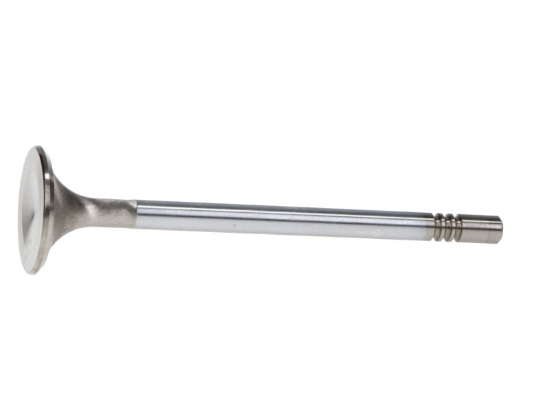 Manley Ford Modular Coyote 5.0L Gen III Race Master Series Intake Valve Set - 1.485in Dia - 12628-8
