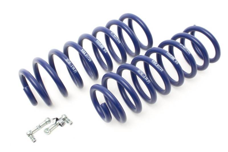 H&R 17-18 Mercedes-Benz E400 4MATIC / E450 Wagon S213 Sport Spring (Incl. Self Leveling) - 28740-4