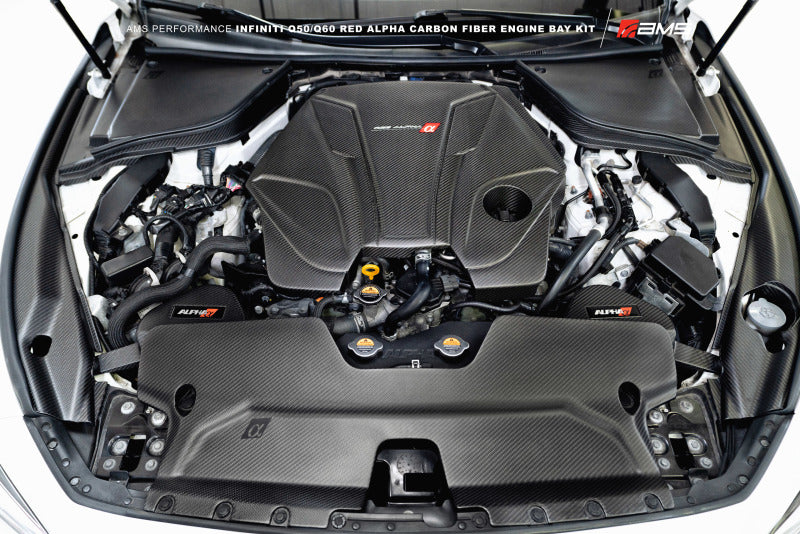 AMS Performance Infiniti 17+ Q60 / 16+ Q50 3.0TT Alpha Matte Carbon Front Duct - ALP.28.06.0002-1