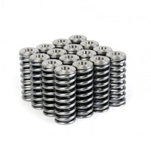 Load image into Gallery viewer, Skunk2 Alpha Series Honda/Acura D Series Valve Spring and Titanium Retainer Kit - 344-05-1350